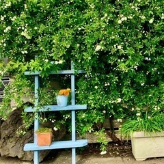 ハンドメイド🪴DIY 🌿ガーデニングオブジェ🪜