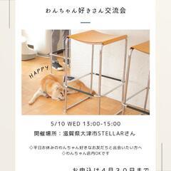 犬友募集中:犬好きさん交流会