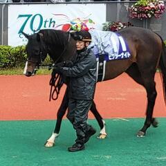 競馬友達募集！！