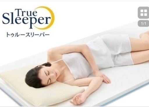 最終！4点セット ☆ トゥルースリーパープレミアム ☆ シングル 2枚合わせ掛布団&カバーセット