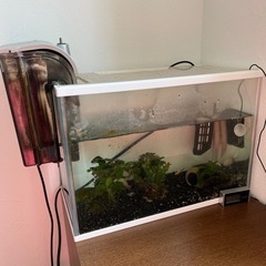 熱帯魚 水槽 水温計 ろ過装置 冷却ファン カルキぬき 交換ろ過...