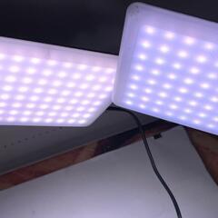 商品撮影 照明 3灯キット LED シューティングライト  CN-T96の画像
