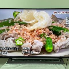 東芝 ４K 液晶テレビ 2020年製 REGZA  43M530X 43インチ