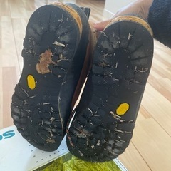 【格安】スカルパ SCARPA トリオレ GTX (TRIOLET GTX)の画像