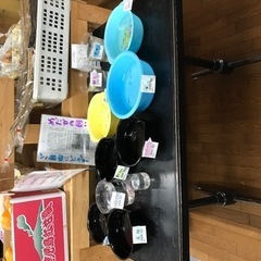 各種メダカの画像