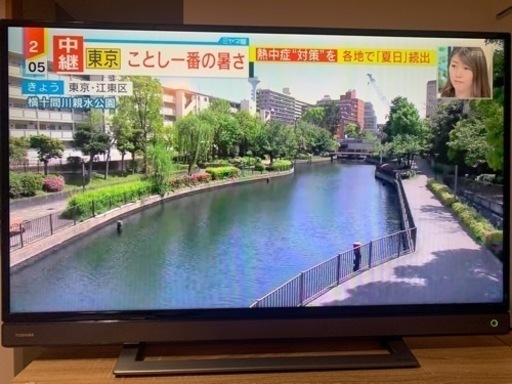 テレビ