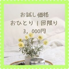 ニュースキャン【波動調整】の画像