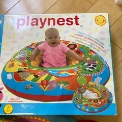 プレイネストの画像