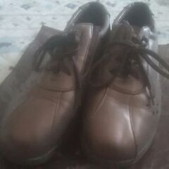 ブラウン系モカシンの画像