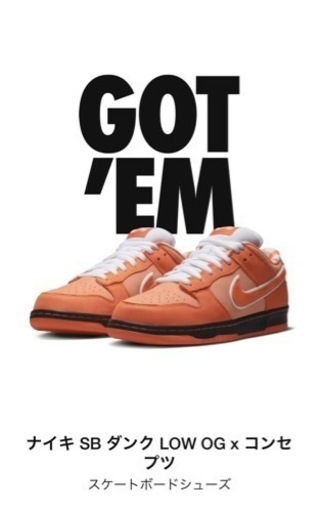 Concepts×NIKE SB Dunk Low "Orangelobste"