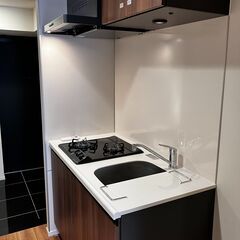 ⭐AZEST巣鴨⭐新築⭐敷金・仲介手数料０⭐*  - 賃貸（マンション/一戸建て）