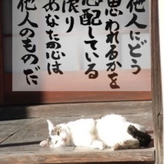 あなたの技術を伝えてください。