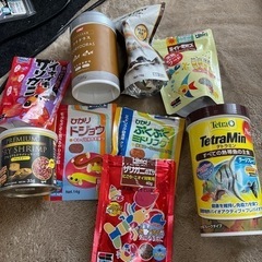 熱帯魚多数の画像