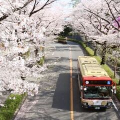 ☆大手グループ路線バス運転士積極募集中☆路線バス運転士になってみませんか？各種手当も充実！【西東京バス】の画像