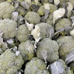 ブロッコリー、レタス