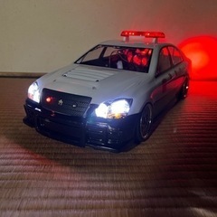 ヨコモドリパケの画像
