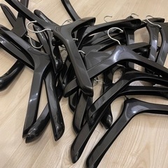 ハンガー20本