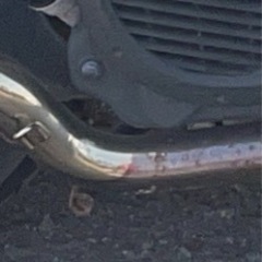  リード 110 モリワキマフラーの画像