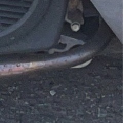  リード 110 モリワキマフラーの画像