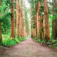【長野】写真・カメラ好きあつまれ～📸✨ - 松本市