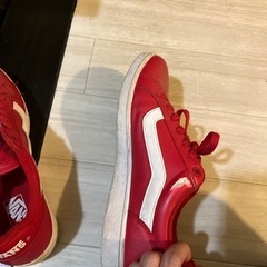 VANS スニーカーの画像