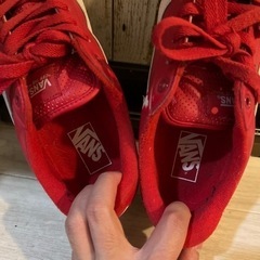 VANS スニーカーの画像