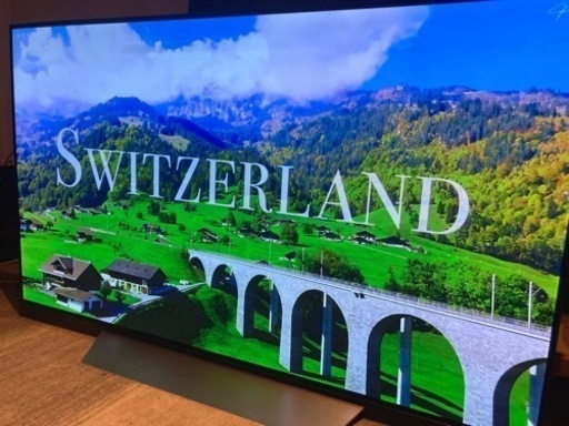 【ジャンク品】55V型テレビ LG OLED55C7P