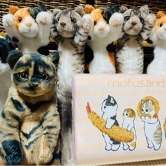 値下げしました！モフサンド枕・たっちぃZOOにゃこ(ライトサイズ...