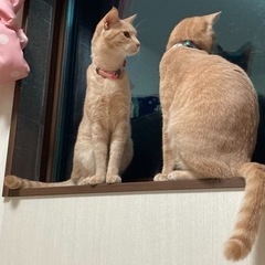 5月1日限定バイト募集してます。　