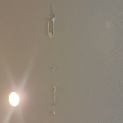 【急募】賃貸のクロスの剥がれ補修してくれませんか（ ;  ; ）