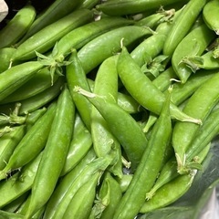 とりたて　無農薬スナップえんどう200g 