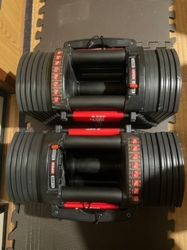 可変式ダンベル(〜40キロ)×2