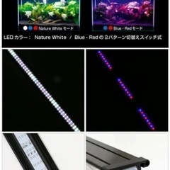 【アクアリウム】中古・1200水槽用 コトブキ フラットLED 1200ブラック  照明 おまけも付けられます！本文ご一読下さいの画像