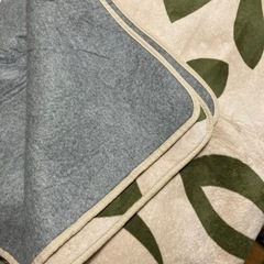 【引取者決定済】【5/6の13〜15時に取りに来て頂ける方限定】ホットカーペットとカバーの画像