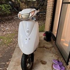 安定のホンダDio 服装を選ばない王道の白