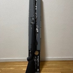 VSR-10