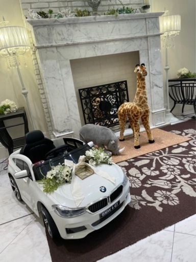 乗用ラジコン★BMW★美品★値下げしました