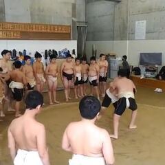 相撲好き！運動不足さん❗健康に興味がある人‼️あつまれ～😊👍 - メンバー募集
