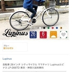 自転車 決まりました！の画像