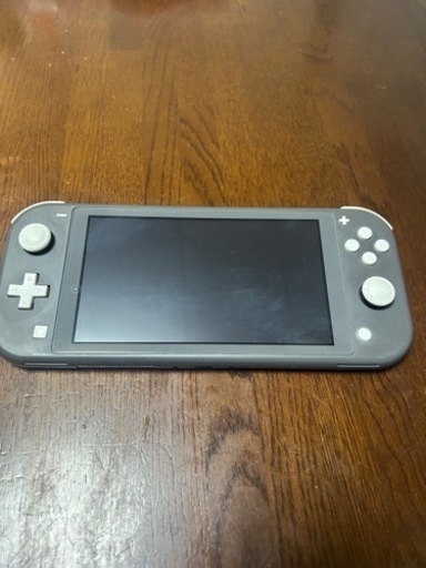 Switch lite グレー　ケース、カバーセット
