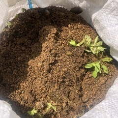 庭土を譲るの画像