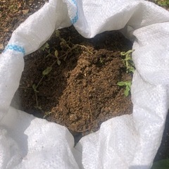 庭土を譲るの画像