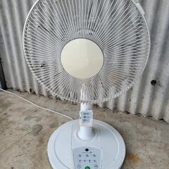 【在庫あり 早い者勝ち！】扇風機 猛暑の今は扇風機