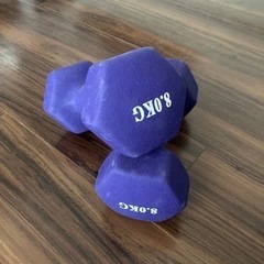 ダンベル8kg×2個