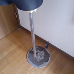 【終了】トルソーの画像