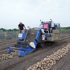 【短期】未経験OK！玉ねぎ農園での収穫・出荷作業などの農作業 【...