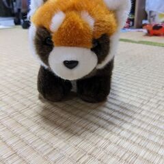 値下げしました!レッサーパンダのぬいぐるみ