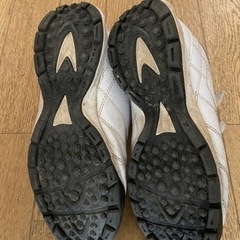 トレーニングシューズの画像