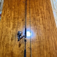 値下げしました‼️ ラテオボートシーバスロッド&カルディアLT4...