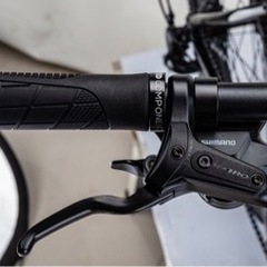 29インチマウンテンバイクの画像